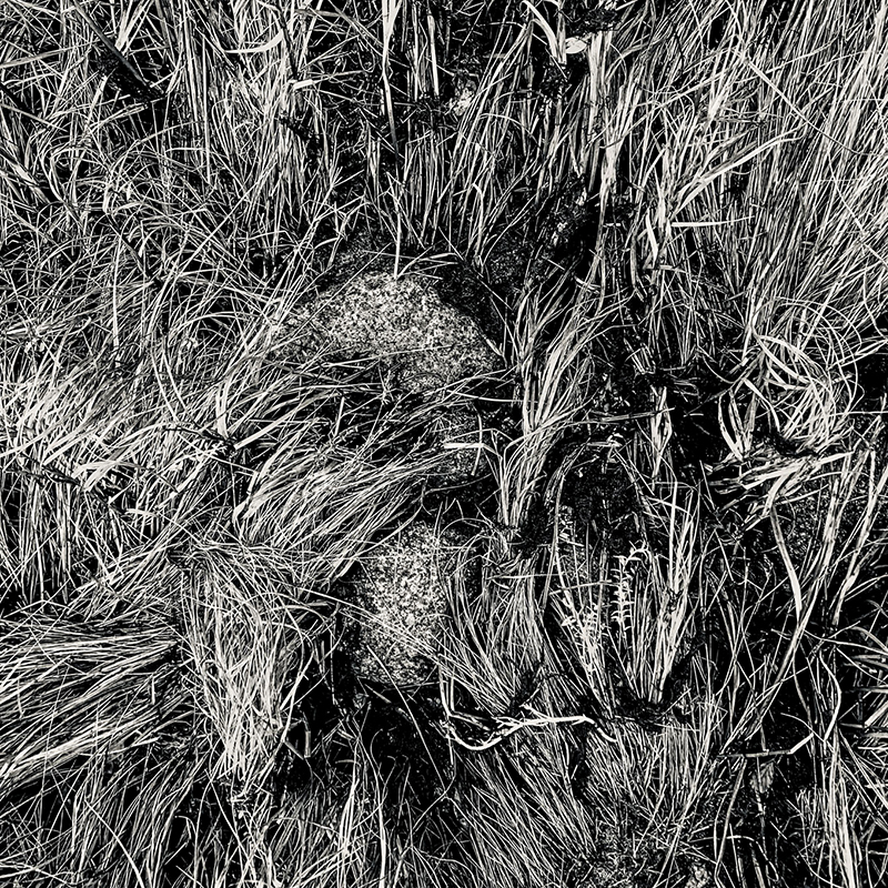 Ruegen13-